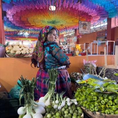 Foto de la galería