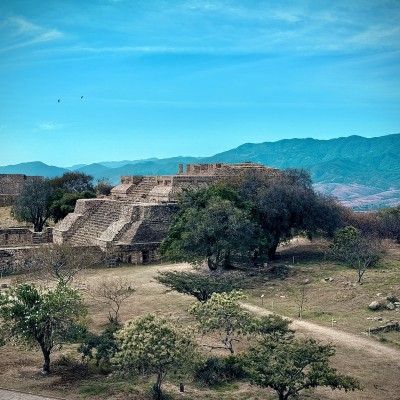 Foto de la galería