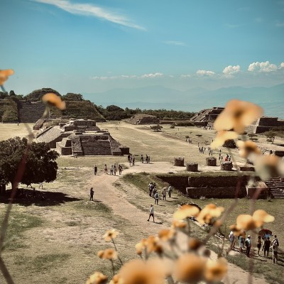 Foto de la galería
