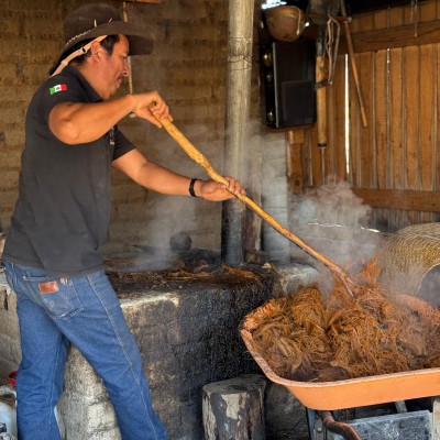 Foto de la galería