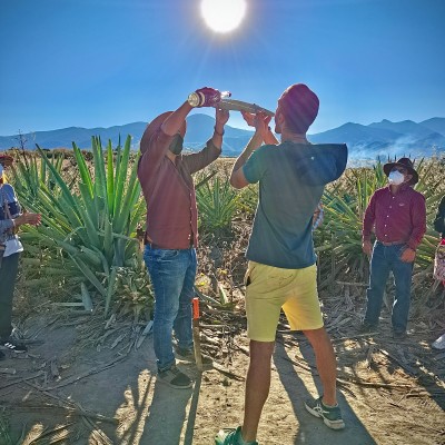 Foto de la galería